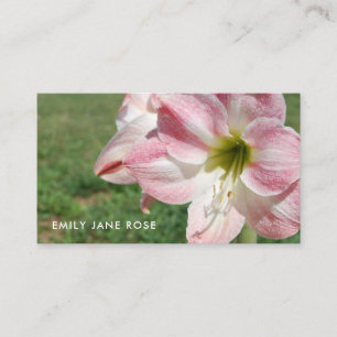 Lily 'Stargazer', Oriental lilies, Floristry Business Card