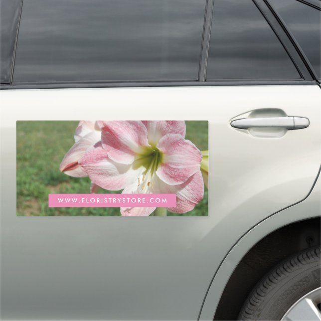 Lily 'Stargazer', Oriental lilies, Floristry Car Magnet (In Situ)