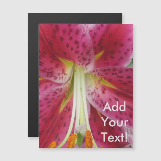 Lily Stargazer Purple Flower (Front/Back)