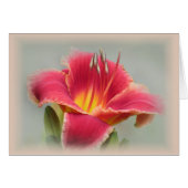 Lily State of Mind - Daylily (Front Horizontal)