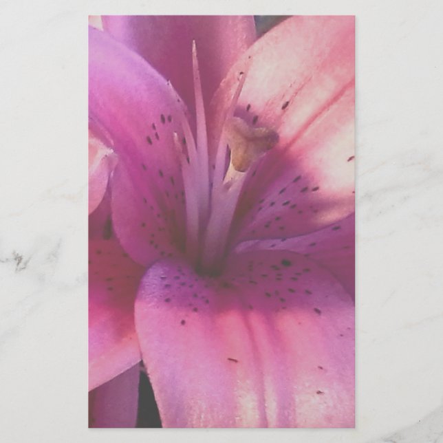 Lily Stationery (Front)