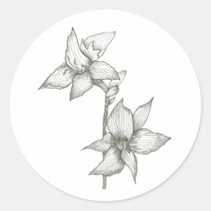 lily sticker