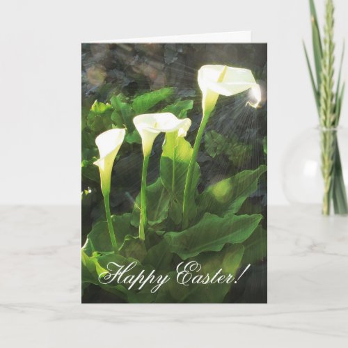Lily Sunrise Surprise Happy Easter Card