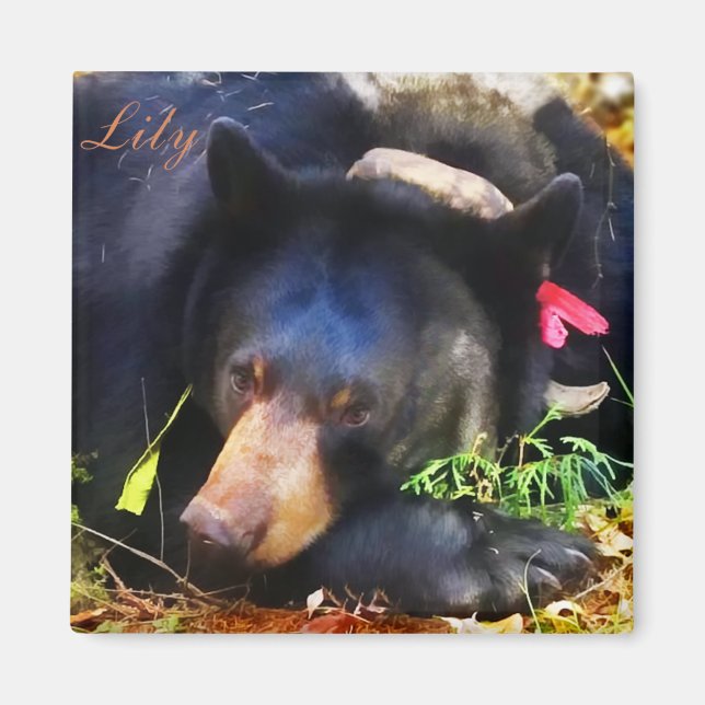 Lily the Black Bear with Ribbons Magnet (Front)