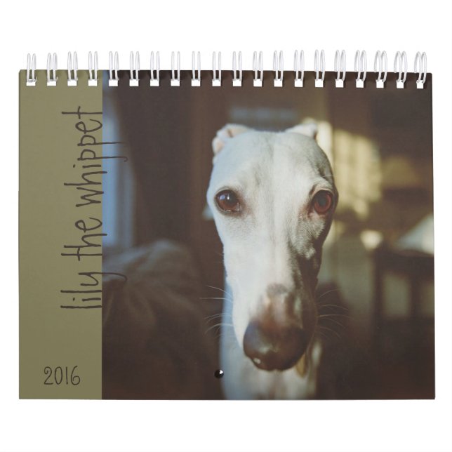 Lily The Whippet Calendar 2016 (Cover)