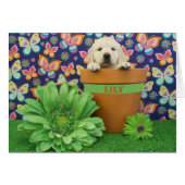 Lily, week 5 photo (Front Horizontal)