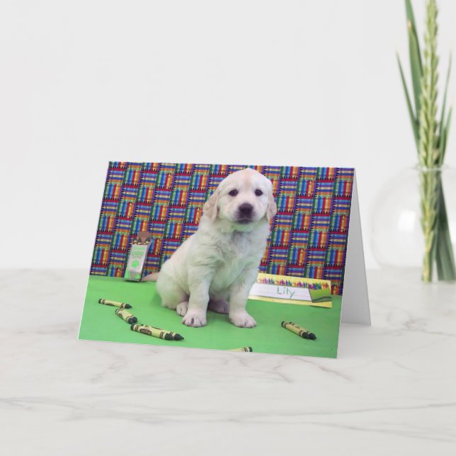 Lily week 6 card (Front)