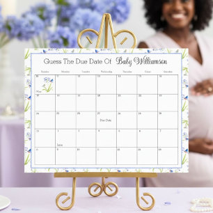 Lily with Bluebird Baby Shower Calendar Due Date Foam Board