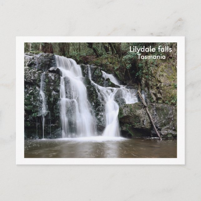 Lilydale falls, Tasmania Postcard (Front)