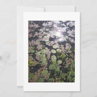 'Lilypads' All-purpose Invitation to Customise