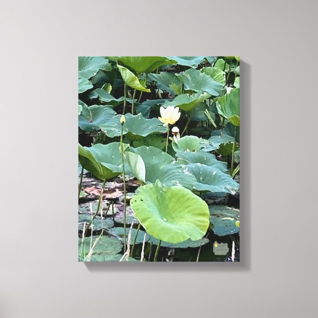 Lilyshade Silence 11 x 14 Canvas Print (Front)
