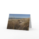 Limantour Beach at Point Reyes II Card