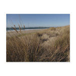 Limantour Beach at Point Reyes II Postcard