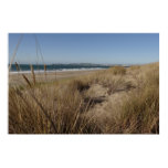 Limantour Beach at Point Reyes II Poster