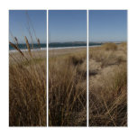 Limantour Beach at Point Reyes II Triptych