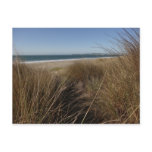 Limantour Beach at Point Reyes National Seashore I Postcard