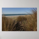Limantour Beach at Point Reyes National Seashore I Poster