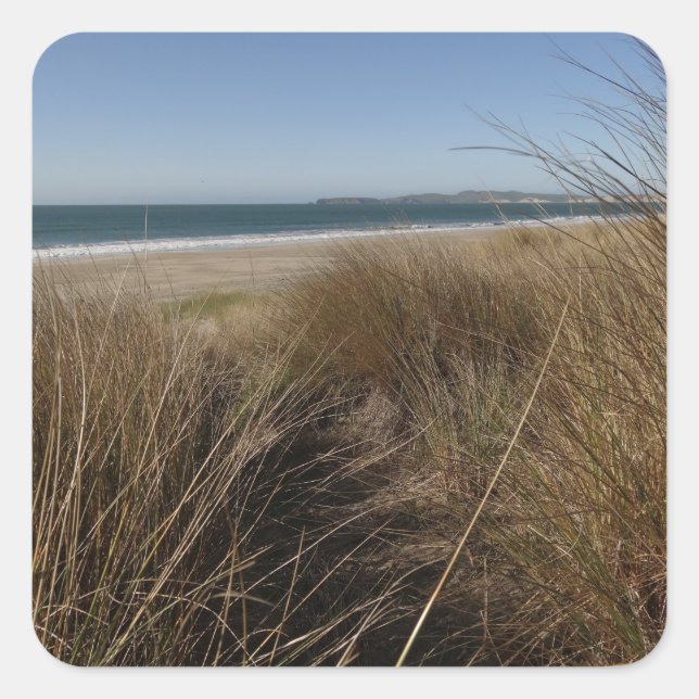 Limantour Beach at Point Reyes National Seashore I Square Sticker (Front)
