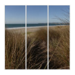 Limantour Beach at Point Reyes National Seashore I Triptych