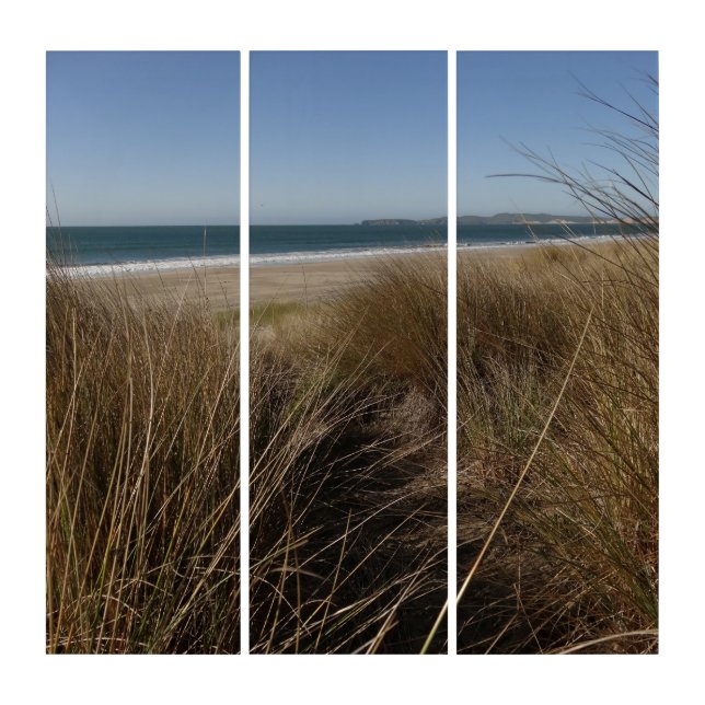 Limantour Beach at Point Reyes National Seashore I Triptych (Front)
