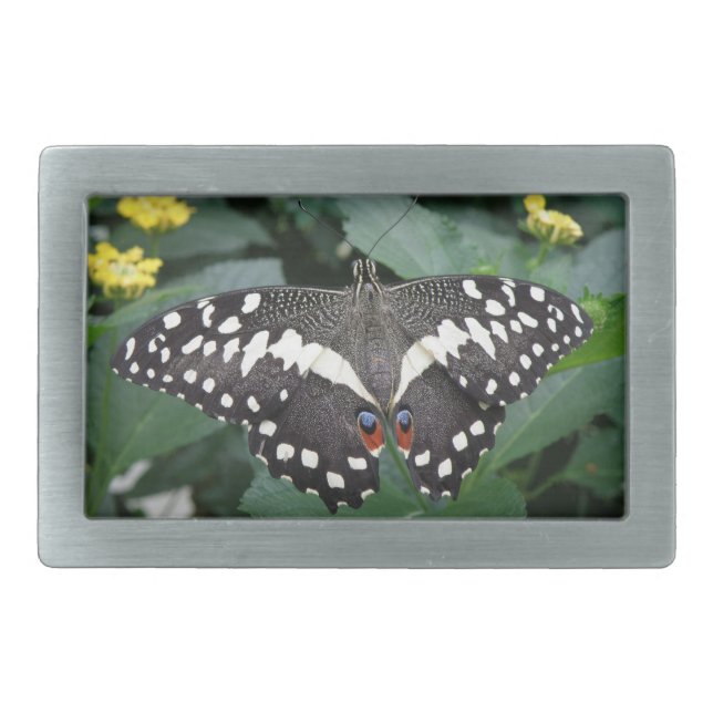 Lime Butterfly and Flowers Belt Buckle (Front)