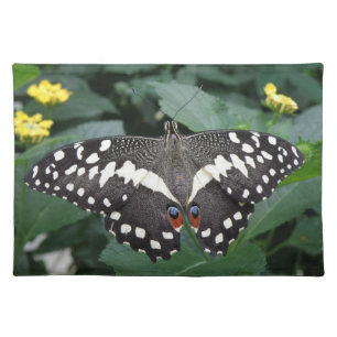Lime Butterfly and Flowers Placemat