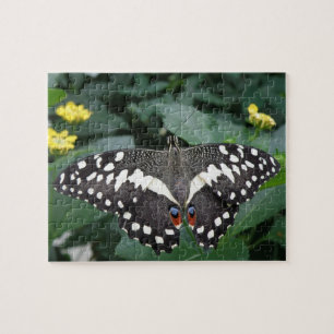 Lime Butterfly and Flowers Puzzle