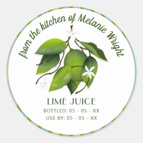 Lime Fruit Canning Classic Round Sticker