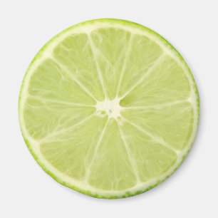 Lime Fruit Fresh Slice Magnet