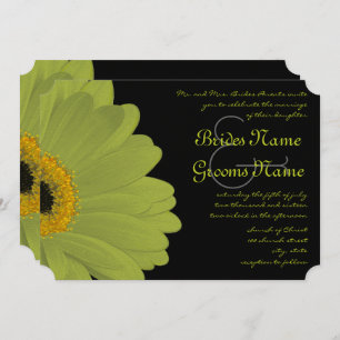 Lime & Fuchsia Gerber Daisy Wedding Invitation