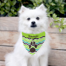 Lime Green Brown and Blue Chevron Stripes Name