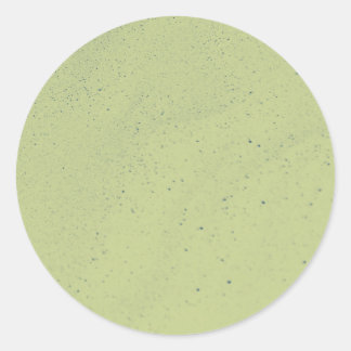 Lime Green Sand Classic Round Sticker