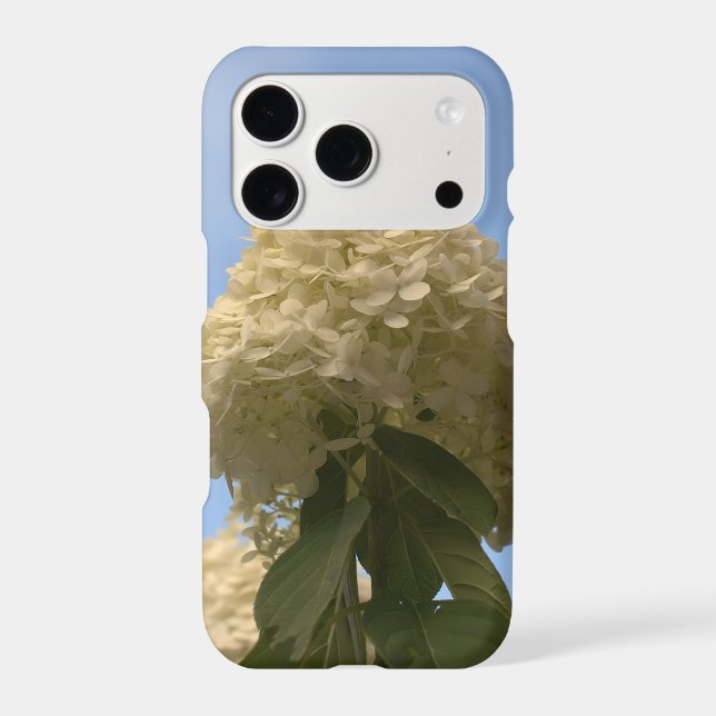 Lime Hydrangea Flowers Blue Sky Iphone Case (Back)