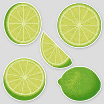 Lime Icon Set Stickers