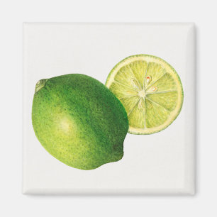 lime magnet