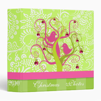 Lime & Plum Christmas Photos Binder With Stripes