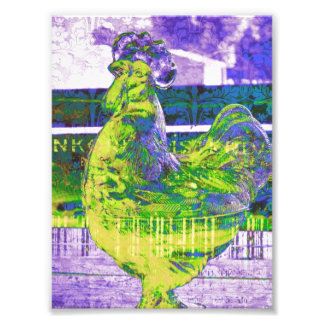 Lime Rooster Photo Print