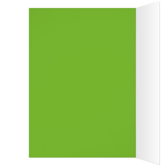 Lime Slice (Inside (Left))