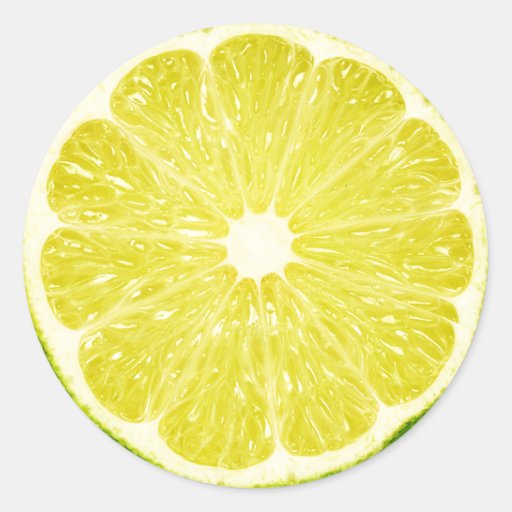 Lime Slice Classic Round Sticker | Zazzle