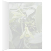 Lime Spectabilis (Vanilla) flowers Cards (Inside (Right))