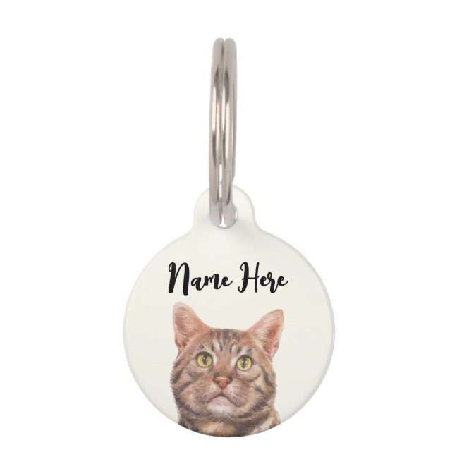 Lime Yellow American Shorthair Cat Pet ID Tag