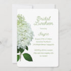 Limelight Hydrangea Bridal / Wedding Shower