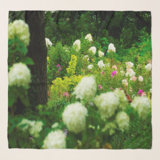 Limelight Hydrangeas in My Rubio Garden Scarf