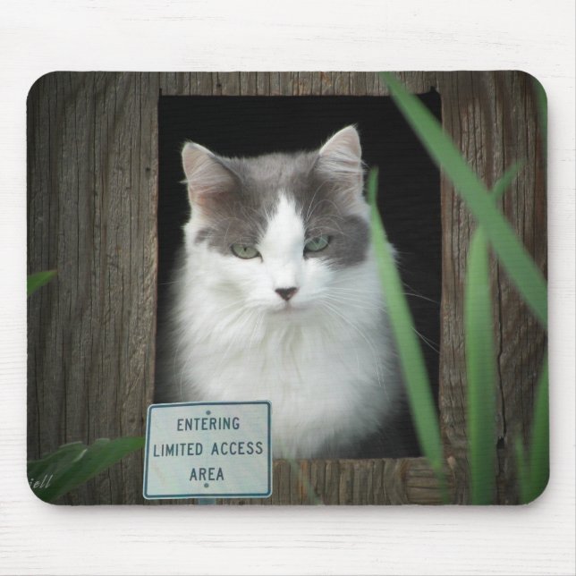 Limited Access Area Mouse Pad (Front)