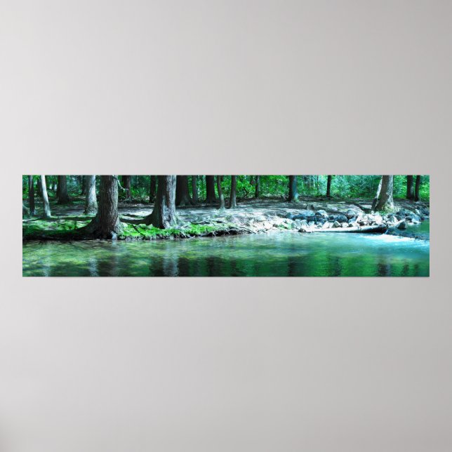 *LIMITED EDITION* "Wide Wonder" Poster (Front)