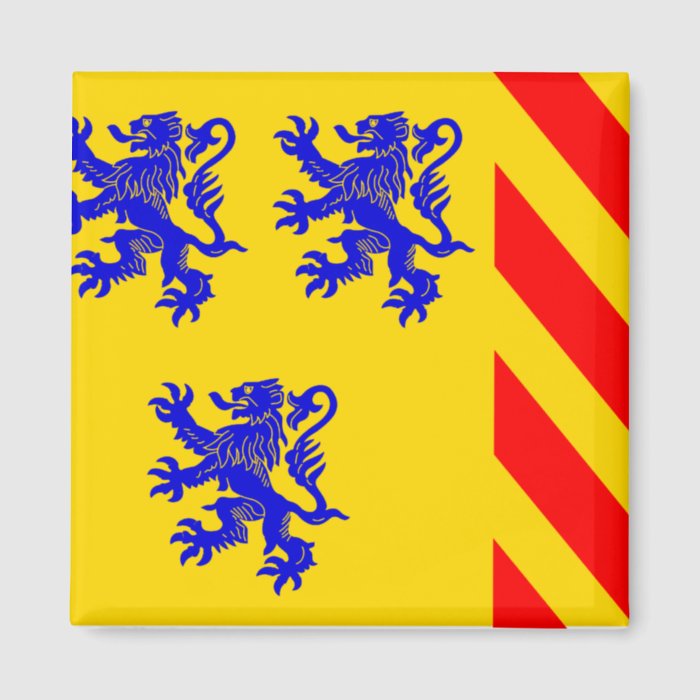 Limousin (Alternate), France flag Fridge Magnet