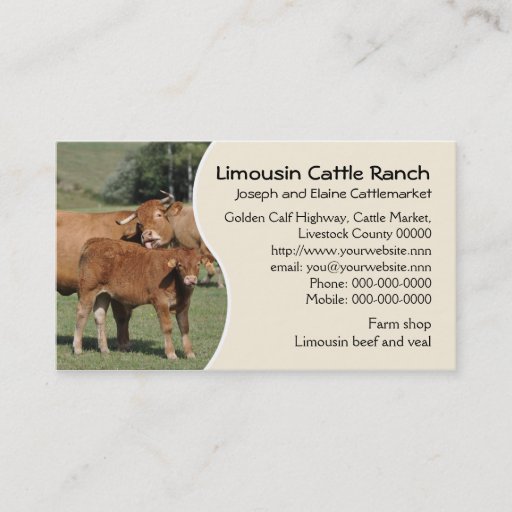 Customizable Limousin cattle ranch business card