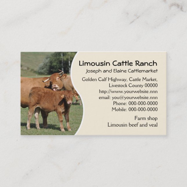 Limousin cattle farm or ranch business card (Front)