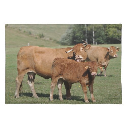 Limousin cow and calf placemat