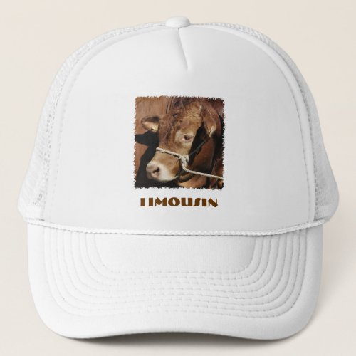 Limousin hat